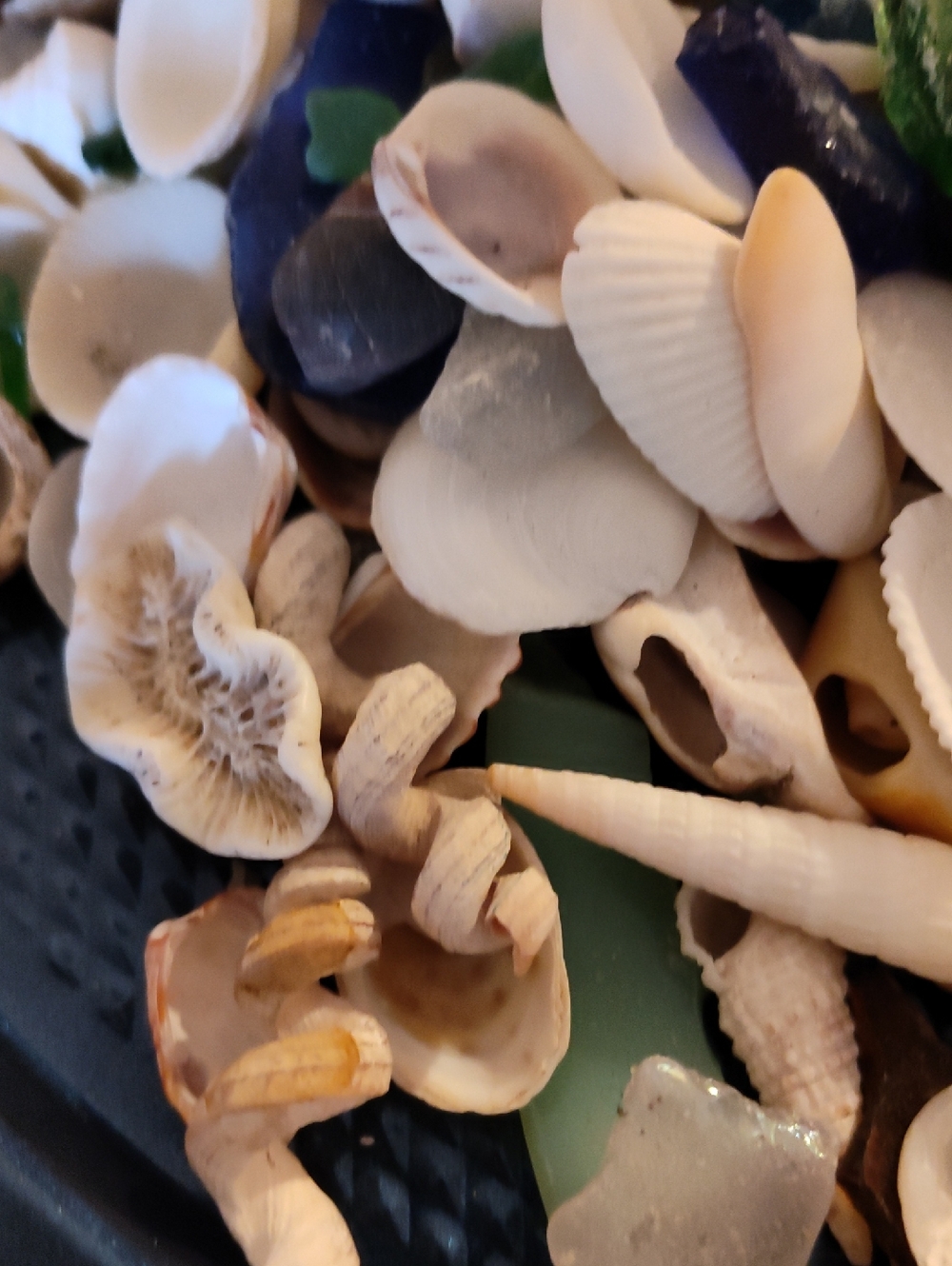 Mason Jar Full Of A Collection Of Sea Shells And Sea Glass With Plenty More - Picture 3 of 9